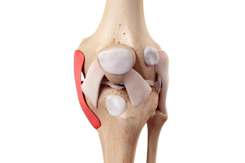 lesao-ligamento-colateral-medial-estrutura-dr-lucas-cordeiro-ortopedista-joelho-são-paulo